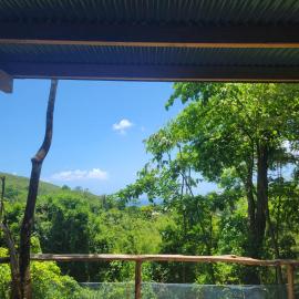 cabane entre les arbres famille