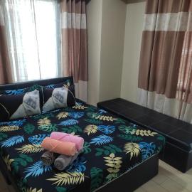LDN Studio Unit Two Palm Tree