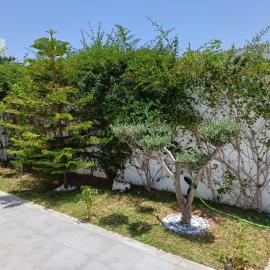 SABA Djerba Ajim, hotel din Ajim