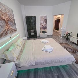 2 Apartments Angels o k b, Hotel in Altenburg