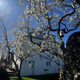 Gemütlich wohnen über Besigheim, hotell Besigheimis