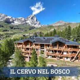 Il Cervo nel Bosco - Cervinia Sunny Escape