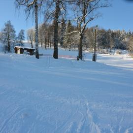Chalet in Malá Skála near Ski Slopes