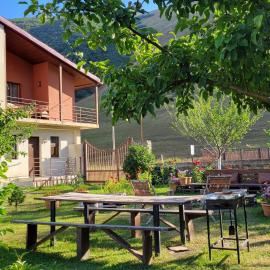 ---Allegria House---