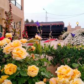 B&B petrafarmhouse, hotel di Wadi Musa