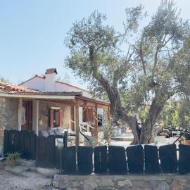 Lithos Estate Plomari