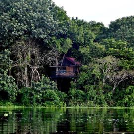 Eware Treehouse, Hotel in Puerto Nariño