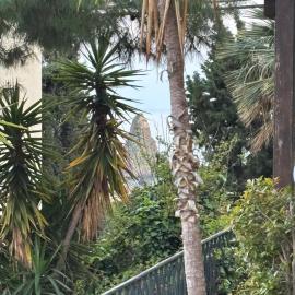 Terrace Garden Apartment, hotel a Acitrezza