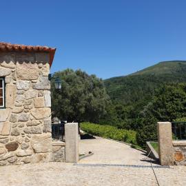 Quinta da Vinha Velha