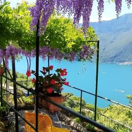 Il Glicine sul Lago, hotelli kohteessa Tronzano Lago Maggiore