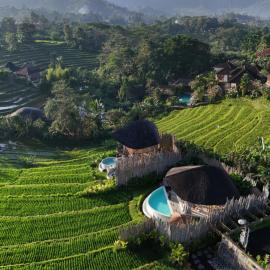 Nivriti Bali