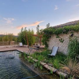 Le colibri du Luberon