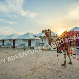 Happy Adventure Desert Camp Jaisalmer, hotel a Sām
