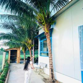 Homestay Về Nhà Chơi