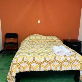 Casa tulipán