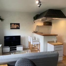 Haus Ehrenfels, hotel a Bingen am Rhein