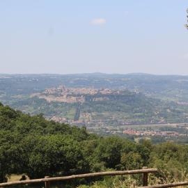 Agriturismo Fattoria Poggio Boalaio, Hotel in Orvieto