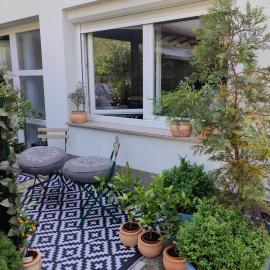 Studio Koper