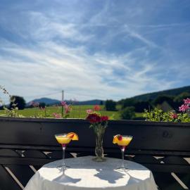 Hôtel l'Orée des Roches, hotelli kohteessa Saales