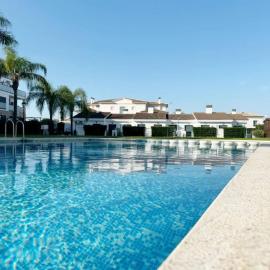 Petite Paradise Oliva