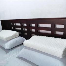 Mango garden villa