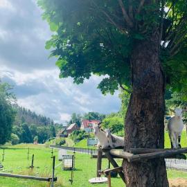 Naturhof Kluge