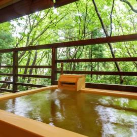 Mizunoto, hotell i Hakone