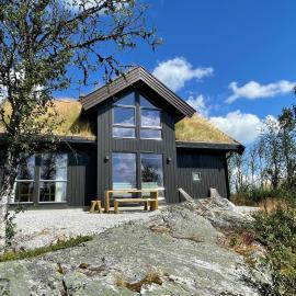 Bjørkebo in Ål - cabin in hiking and skiing area, viešbutis mieste Al