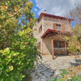Erini House
