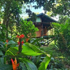 Live the Jungle - Rustic Refuge, hotel din Bastimentos