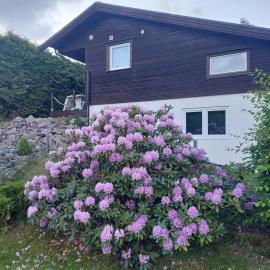 Apartment Strömstad, Lökholmen, hotel din Strömstad