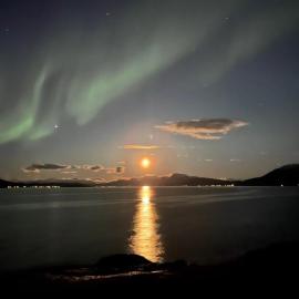 Cabin in scenic surroundings in Senja