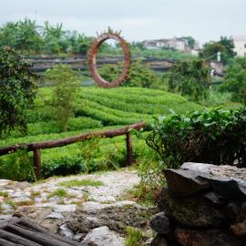 Tiến Yên Farmstay