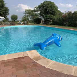 Pet-Friendly Nature Escape