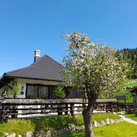 Casa tradițională bucovineana, hotel v mestu Putna