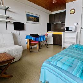 Studio 3 places au pied des pistes, animaux acceptés - FR-1-340-92