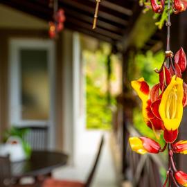 Casa do Jardim Botanico โรงแรมในFaial
