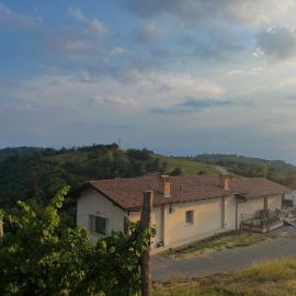 Podere Martina in Altalanga, hotel en Murazzano