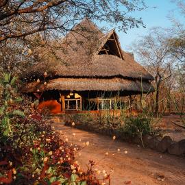 Angalia Tented Camp, Hotel in Mikumi