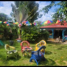 Las Amapolas, Saman typical houses