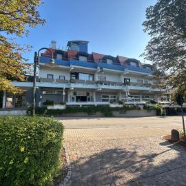 Apartmenthaus Wilder Mann, hotelli kohteessa Obrigheim