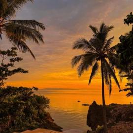 peaceful turtle camp, hotel in Esperanza