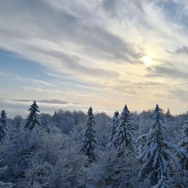Apartman PineSky