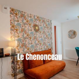 Le Chenonceau Apartment Elegance and comfort in the Loire Valley
