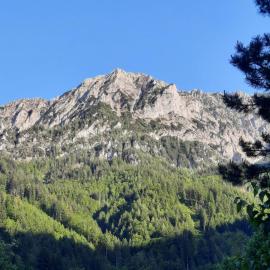 Gorshof
