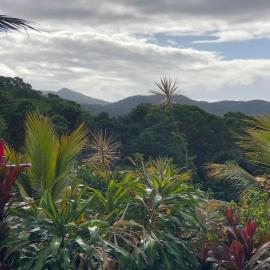 Lilah Blue-Entire Home Rustic Rainforest Private, hotel u gradu Speewah