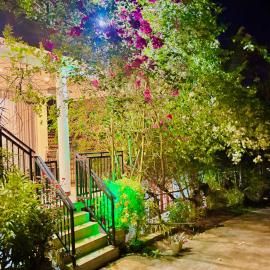 Flower Shade Villa