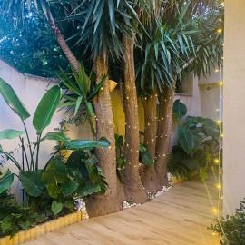 Tiny House - Les Baïsses - Jardin Tropical