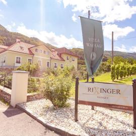 Weingut Rixinger, hotel a Spitz