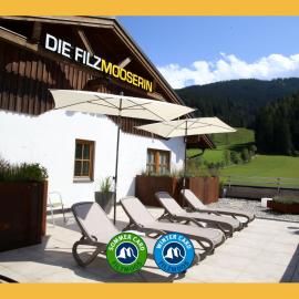 Die Filzmooserin - smart living apartments in Ski amadé, Filzmoos Card inklusive